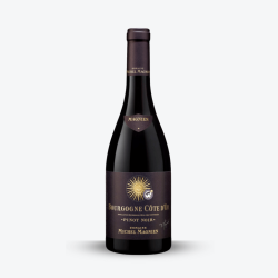 Bourgogne Côte d’Or 2021 - Michel Magnien