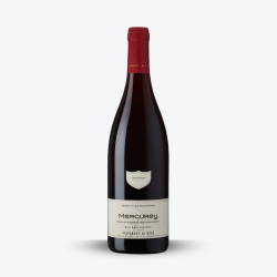 Mercurey 2024 - Les Vignerons de Buxy