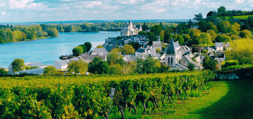 Vins Blancs Iconiques de Loire – Sancerre, Vouvray, Savennières