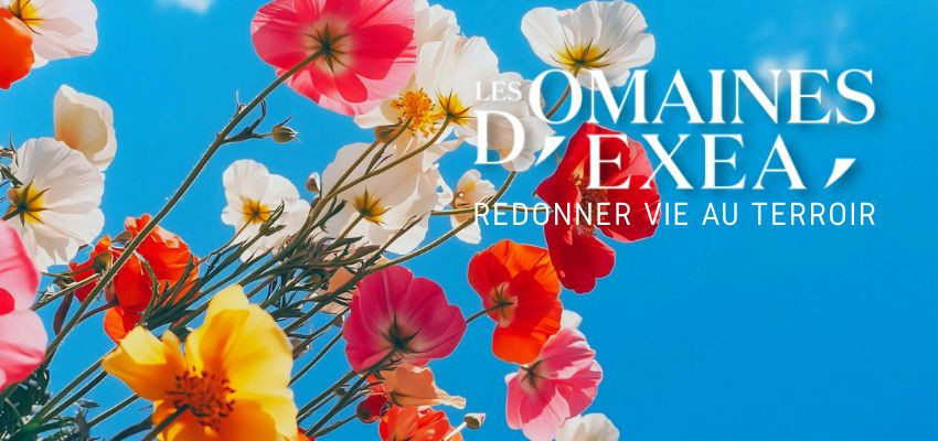 Domaine EXEA - Vins modernes et conviviaux du Sud de la France