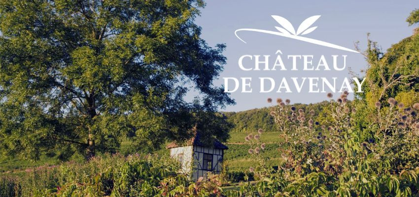 Château de Davenay - Elegance & Authenticité