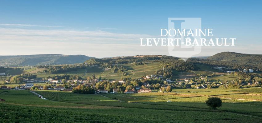 Domaine Levert Barault – Vins de Bourgogne