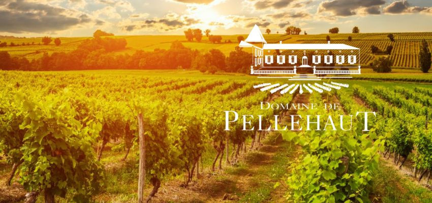 Domaine de Pellehaut - IGP Côte de Gascogne