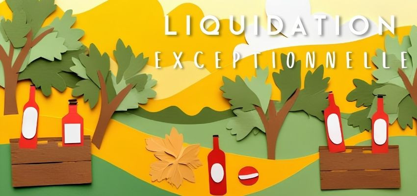☀️ LIQUIDATION EXCEPTIONNELLE