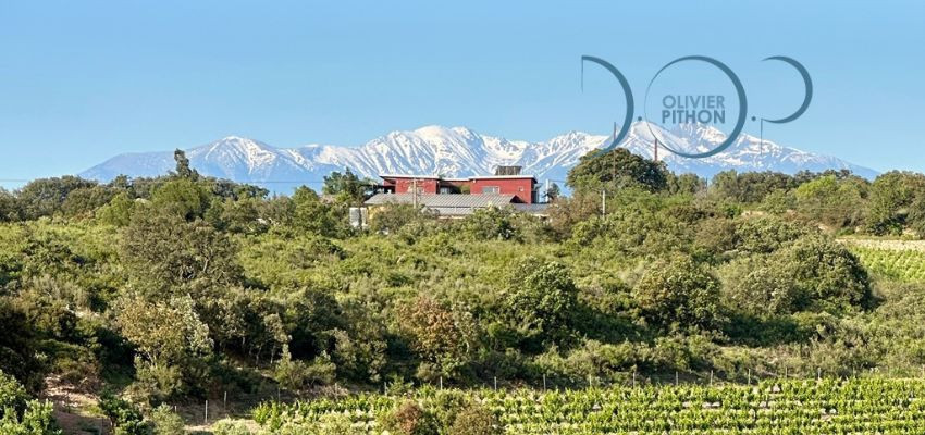 Domaine Olivier Pithon – Grands vins bio du Roussillon