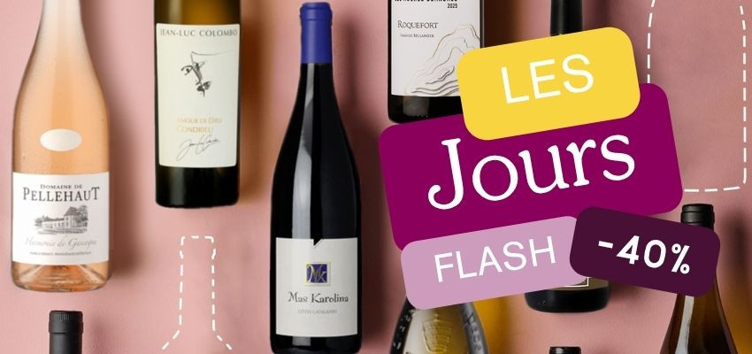 ⚡ LES JOURS FLASH V2VIN