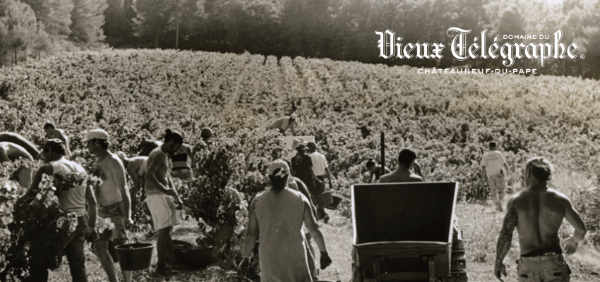 Vieux Télégraphe 2020 - Châteauneuf-du-pape d'Exception