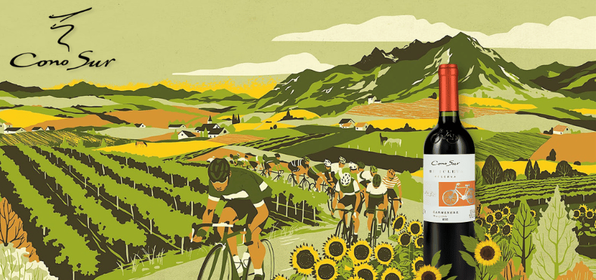 Cono Sur Carmenere 2021 – Vin Chilien Fruité & Épicé