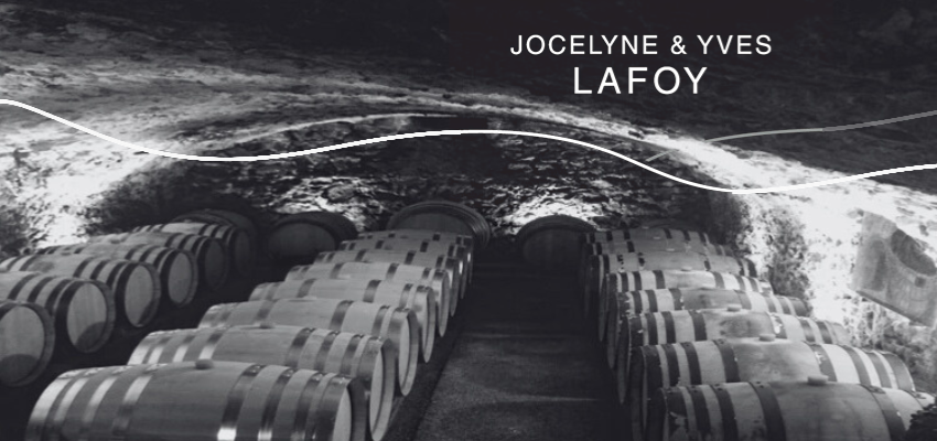 Domaine LaFoy • V2Vin