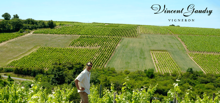 Le Tournebride Sancerre 2022 - Vincent Gaudry : Vin blanc élégant de la Loire