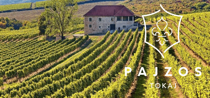 Pajzos Tokaj - L'excellence des vins Tokaji de la région viticole de Hongrie