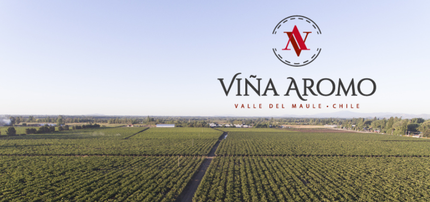 Viña El Aromo - L'Essence du Terroir en Chaque Bouteille.