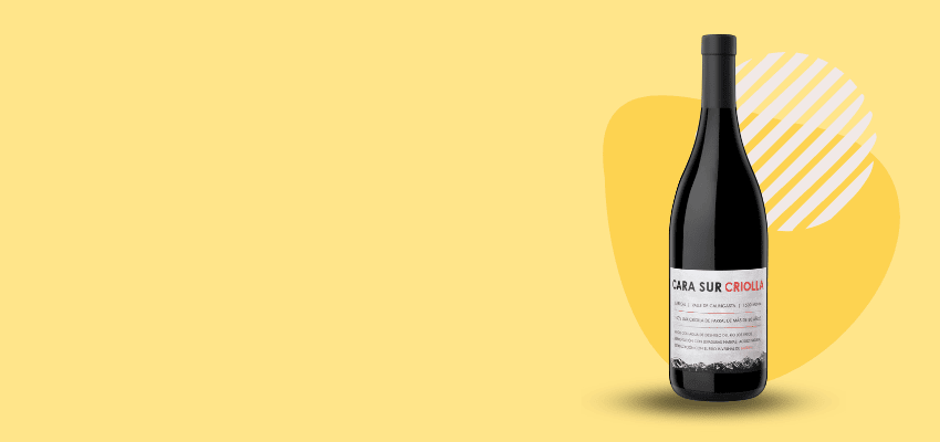 Cara Sur - L'Aventure Vinicole à Son Apogée.