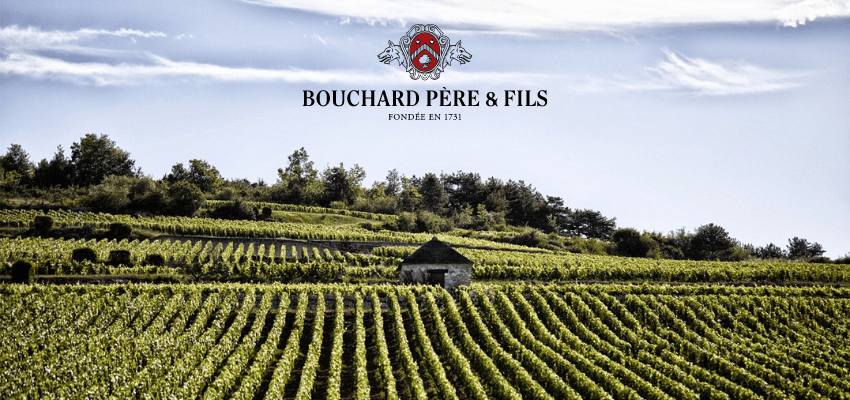 Bouchard Père et Fils: Héritage et Excellence de la Bourgogne