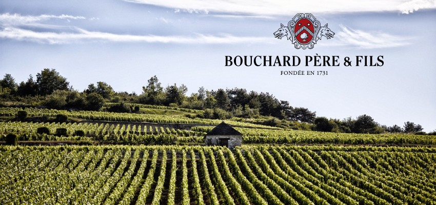 Bouchard Père et Fils: Héritage et Excellence de la Bourgogne