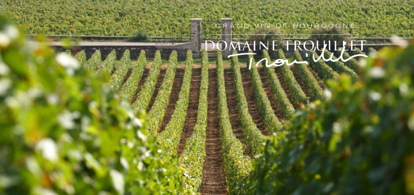 Domaine Trouillet: L'Art de la Vigne à la Française