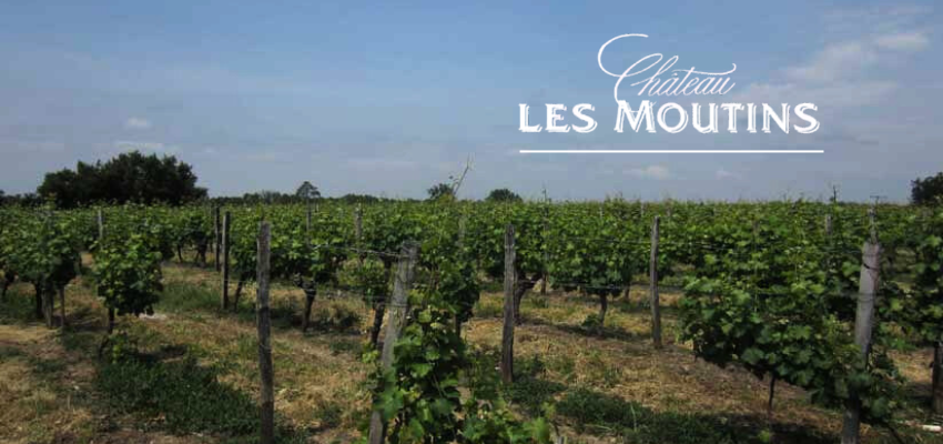 Château Les Moutins - Vins d'exception de Bordeaux