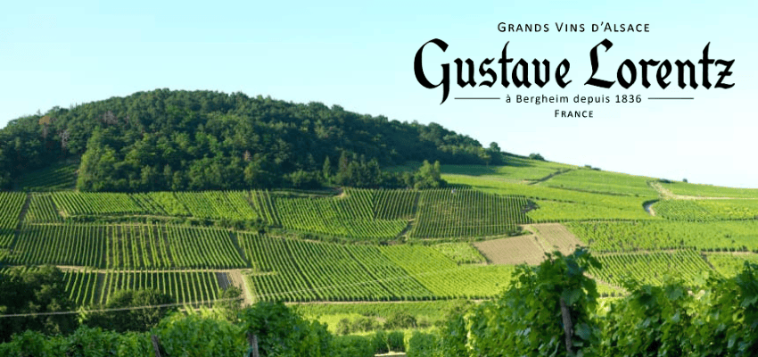 Gustave Lorentz - L'Excellence des Grands Vins d'Alsace