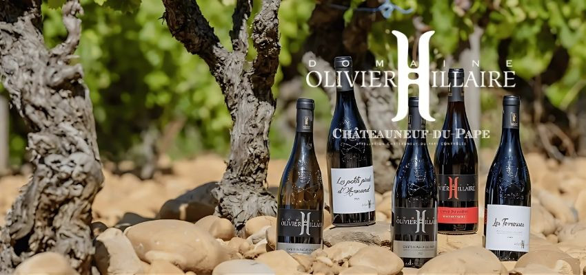 Olivier Hillaire - Héritage Viticole, Passion et Authenticité en Châteauneuf-du-Pape