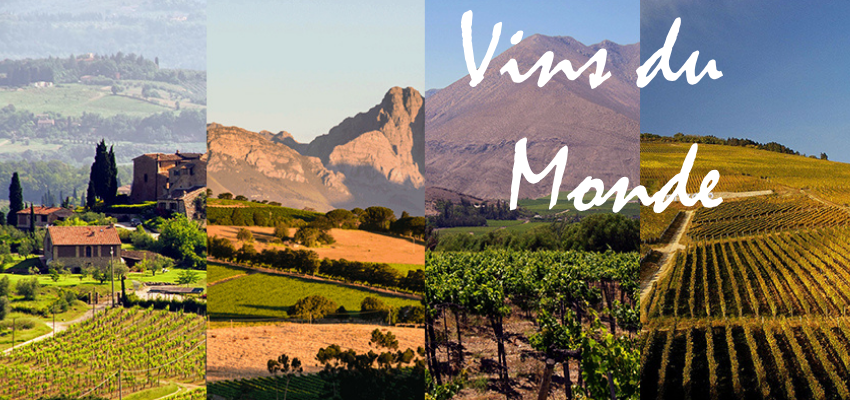 Vins du monde - Voyagez dans chaque gorgée