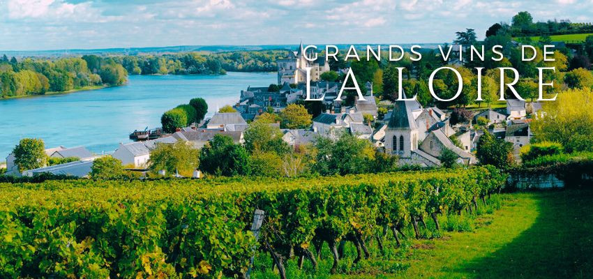 Vins de la Vallée de la Loire – Fraîcheur, diversité et authenticité