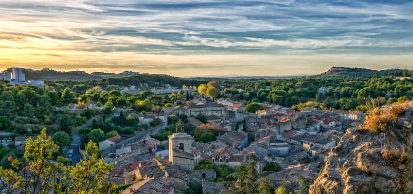 Vins de Provence – Le charme du Sud et l’art du rosé