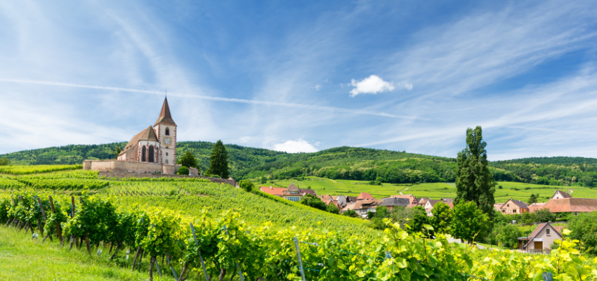 Alsace – Vins aromatiques et élégants d’Alsace