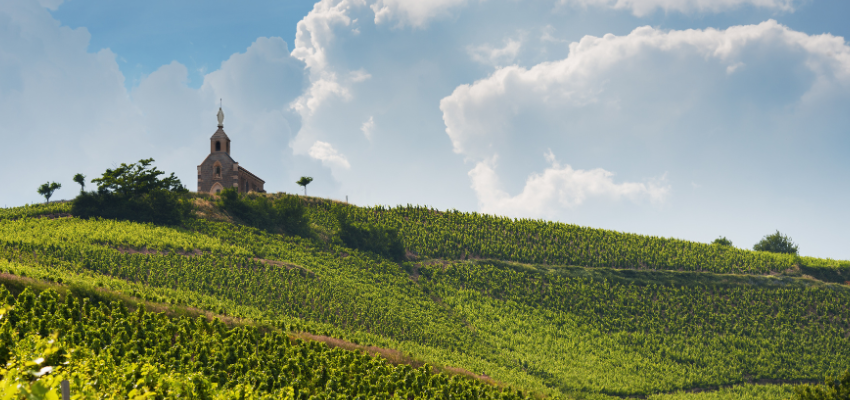 Beaujolais – Le charme fruité des crus du Beaujolais