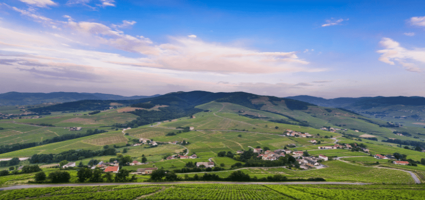 Brouilly – Le charme fruité des crus du Beaujolais