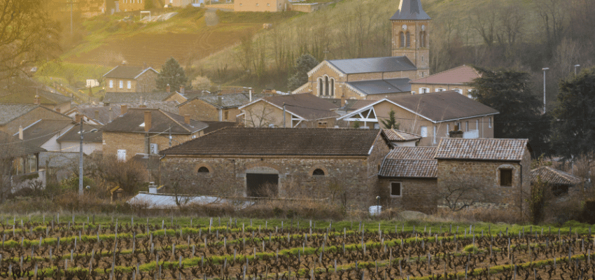 Saint-Julien – Grands crus du Bordelais, prestige et excellence viticole