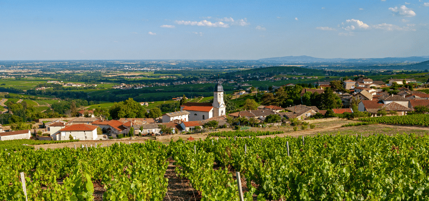 Chiroubles – Appellation reconnue, entre tradition et qualité