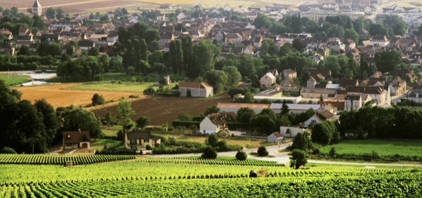 Chablis – Vins blancs de Bourgogne, minéralité et finesse