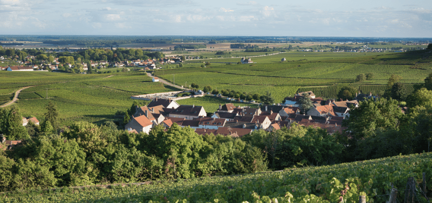 Chambolle Musigny – Vins prestigieux de Bourgogne, terroir et élégance