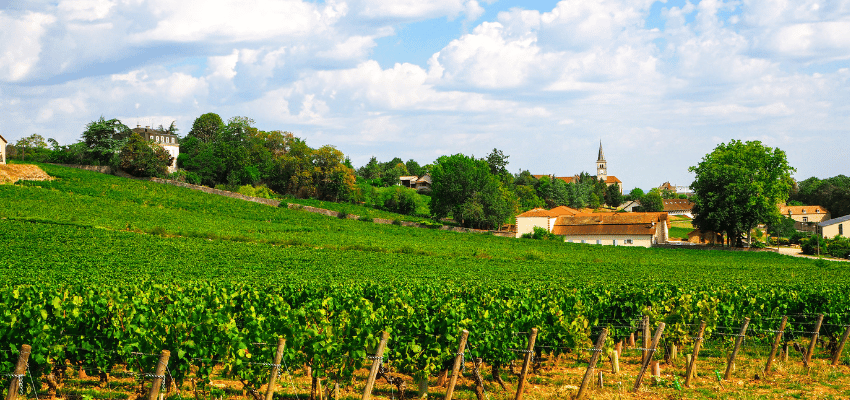 Côte-de-Beaune-Villages – Vins prestigieux de Bourgogne, terroir et élégance