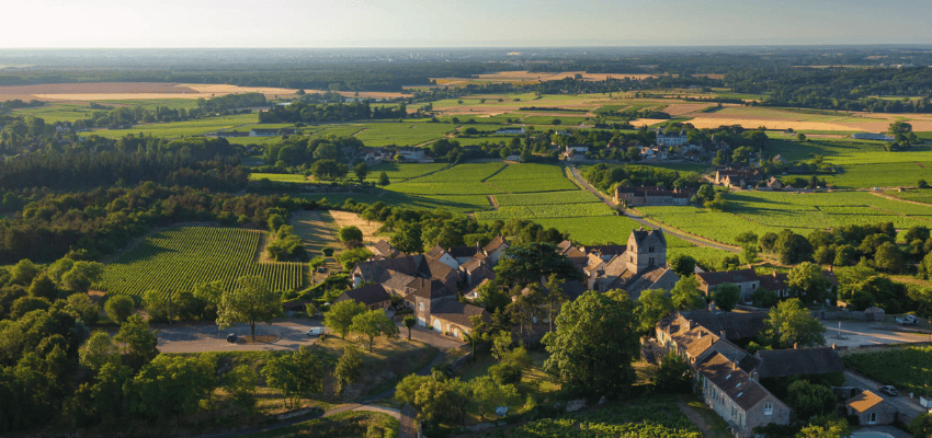 Mercurey – Vins prestigieux de Bourgogne, terroir et élégance