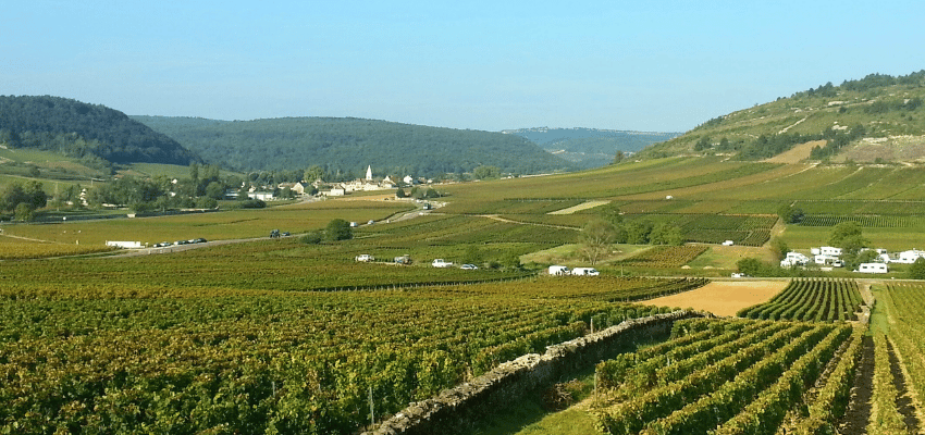 Monthélie – Vins prestigieux de Bourgogne, terroir et élégance