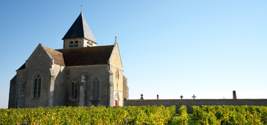 Petit Chablis – Vins blancs de Bourgogne, minéralité et finesse