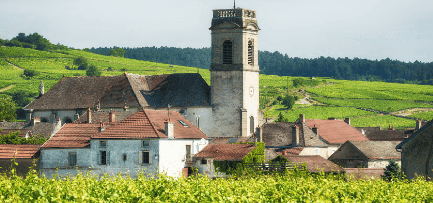 Pommard – Vins prestigieux de Bourgogne, terroir et élégance