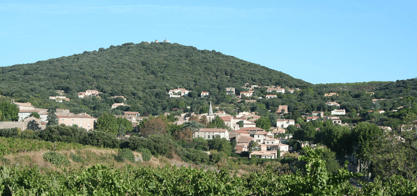 Faugères – Vins du Languedoc, soleil et caractère