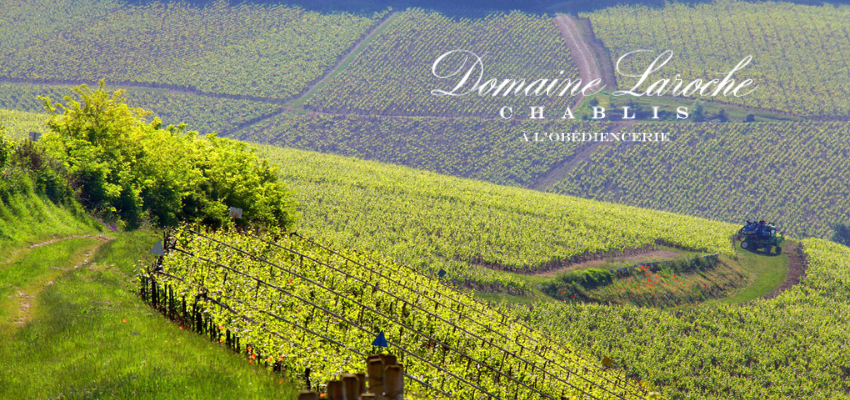 Domaine Laroche - Vins d'exception de Bourgogne
