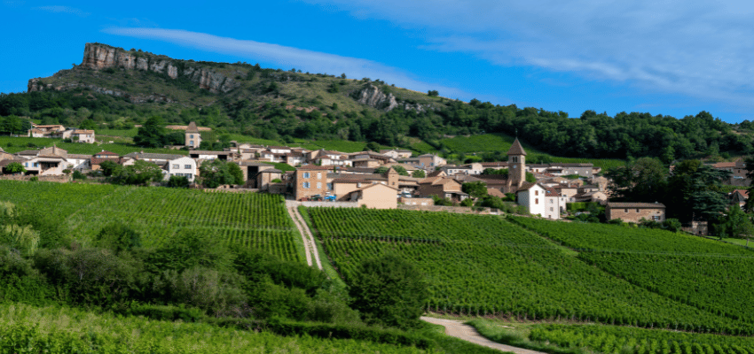 Pouilly-Fumé - Élégance et Fraîcheur des Vins de Loire