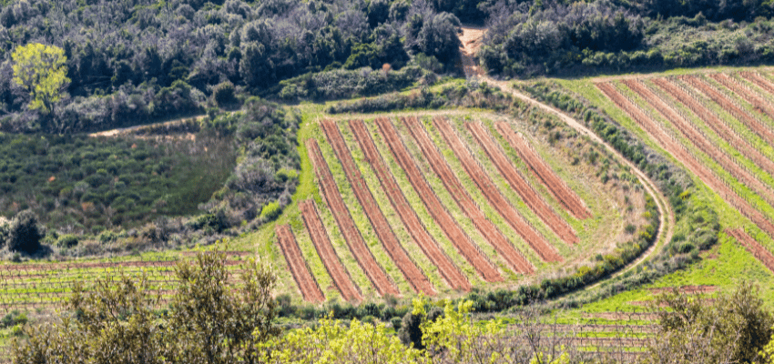 Côtes-du-Rhône Villages - Excellence et Caractère des Terroirs