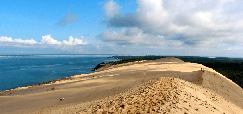 IGP Landes - Au Pied de l'Océan
