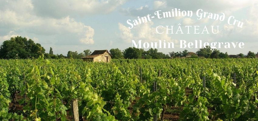 Château Moulin Bellegrave 2023 – Vin de caractère issu d’un domaine d’exception