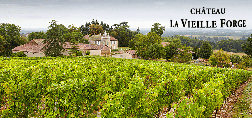 Château La Vieille Forge 2018 – Vin de caractère issu d’un domaine d’exception