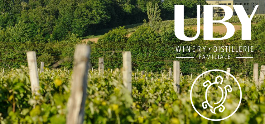 Domaine Uby - Des vins exceptionnels du sud-ouest de la France