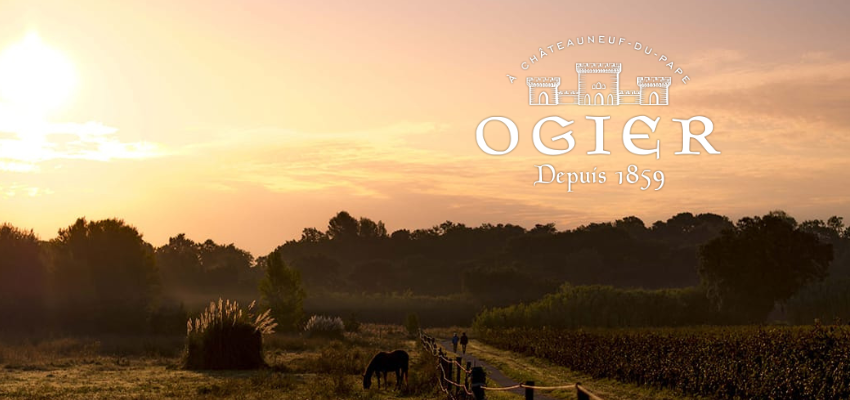 Les Caprices d'Antoine Rouge et Blanc 2022 – Un produit unique sélectionné pour vous