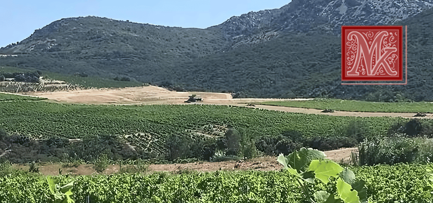 Mas Karolina Côtes du Roussillon Villages 2021 – Un produit unique sélectionné pour vous