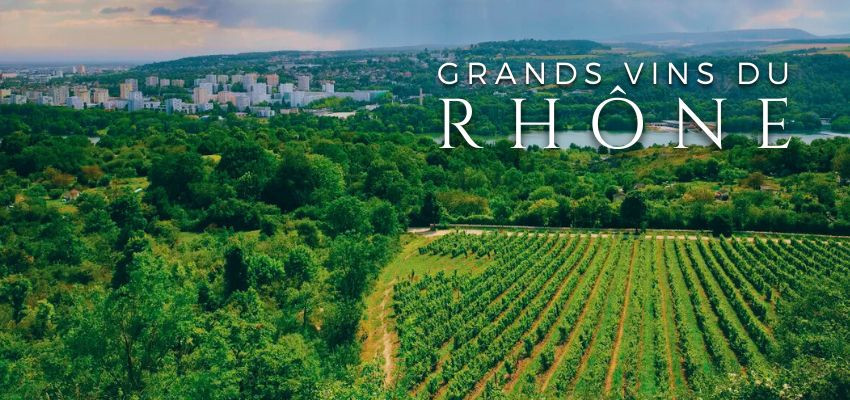 Grandes Maisons de la Vallée du Rhône – Vins d’exception de la Vallée du Rhône