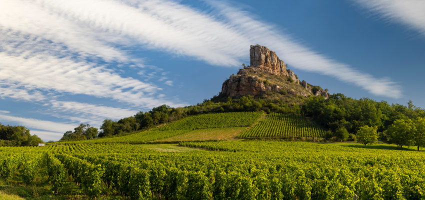 Pouilly-Fuissé 1er Cru - Grand Vin Blanc de Bourgogne